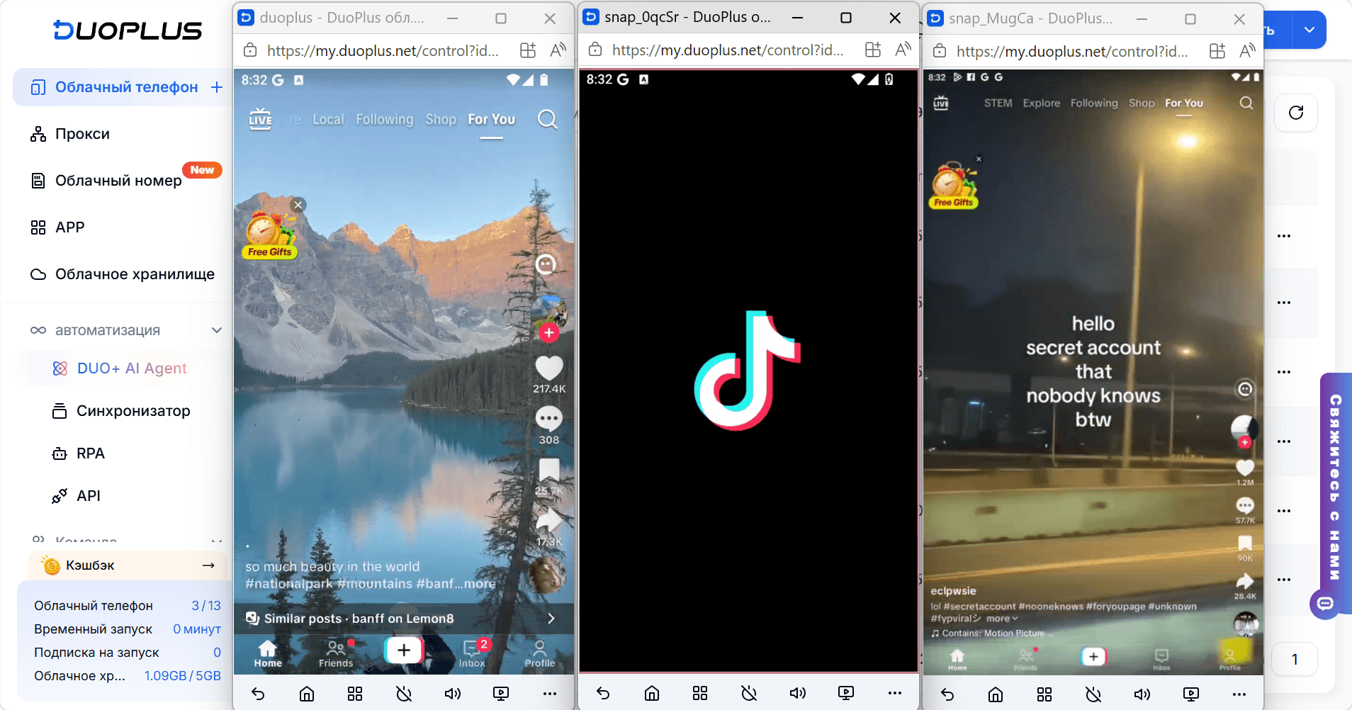 tiktok RU.png
